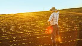 Мишустин назвал основные меры поддержки аграриев